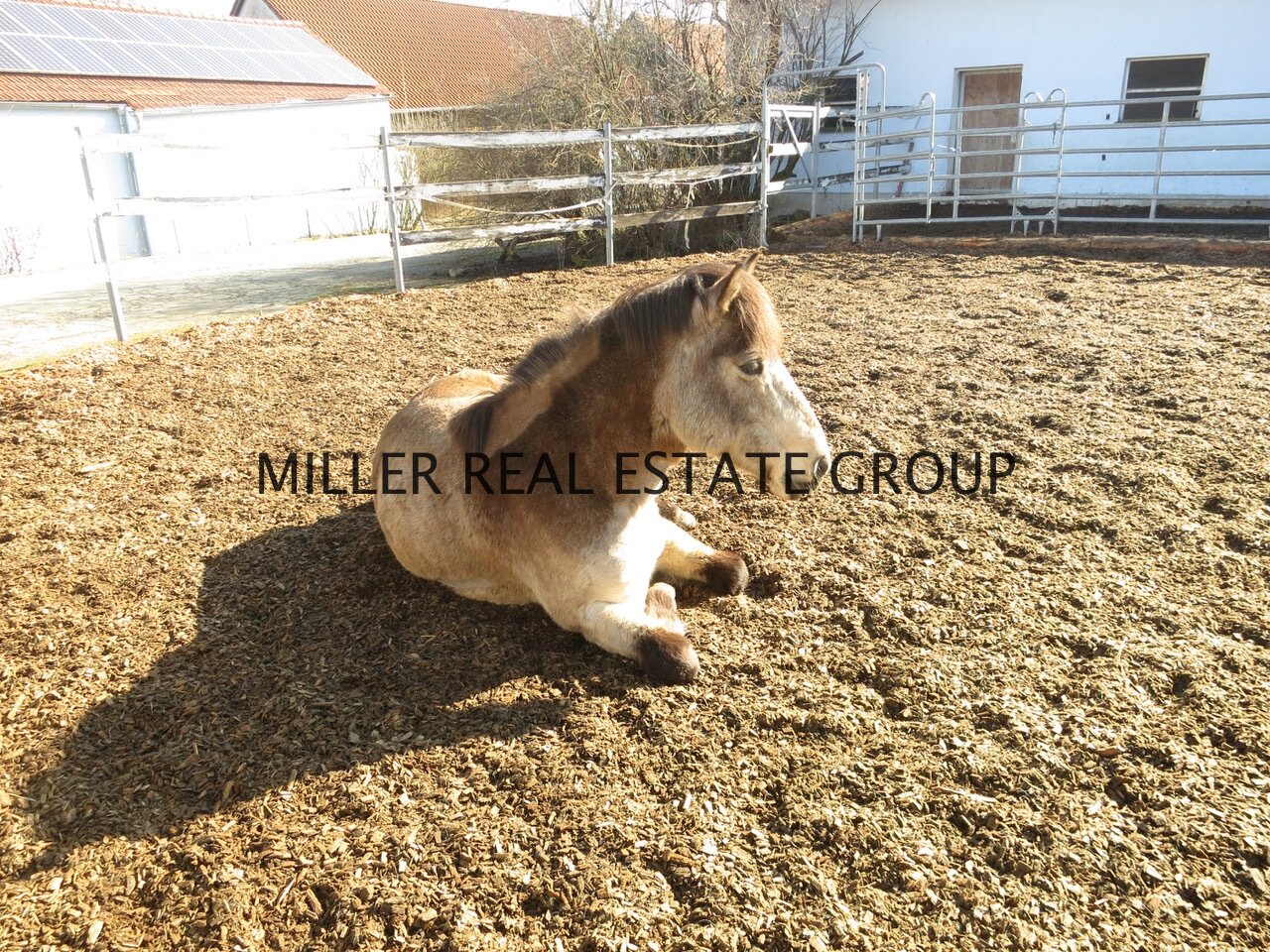 MILLER REAL ESTATE GROUP