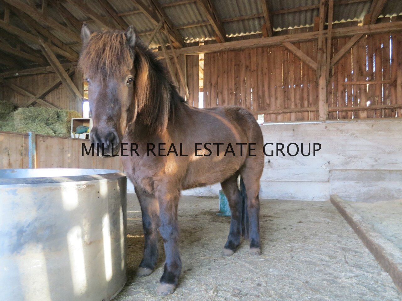 MILLER REAL ESTATE GROUP